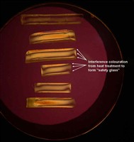 5) A macro photo in polarized light confirmation of proper heat treatment for the tempering of glass in a disputed failure.