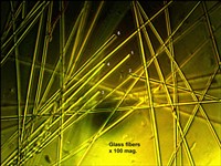 15) Glass Fibers - The numbered fractured ends in the center of the field of view are characteristic for the straight, smooth, uniform, 'fiberglass' glass fibers. 